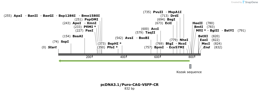 54528_map