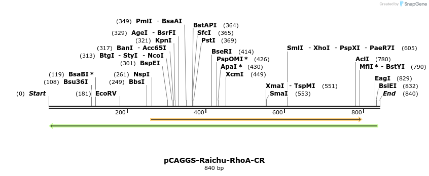 54531_map