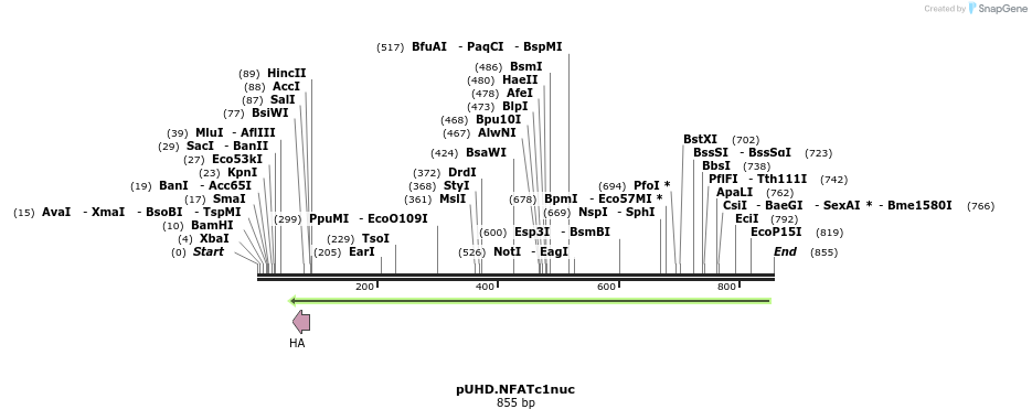 54534_map