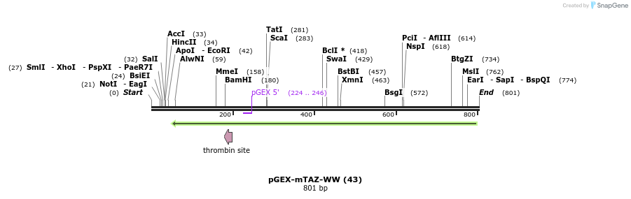 54538_map