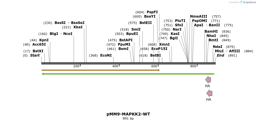 54539_map