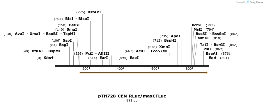 54541_map