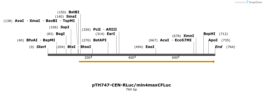 54542_map