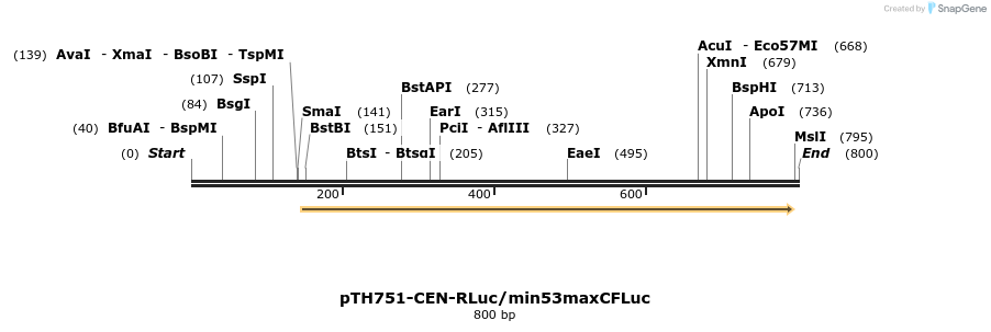 54546_map