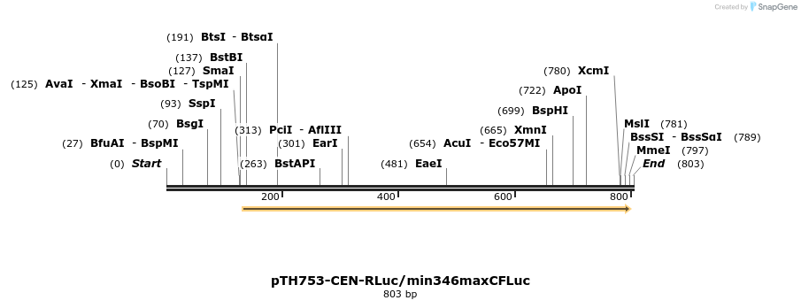 54547_map