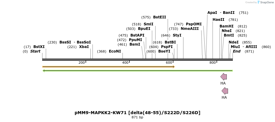 54548_map