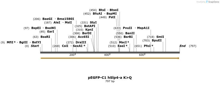 54550_map