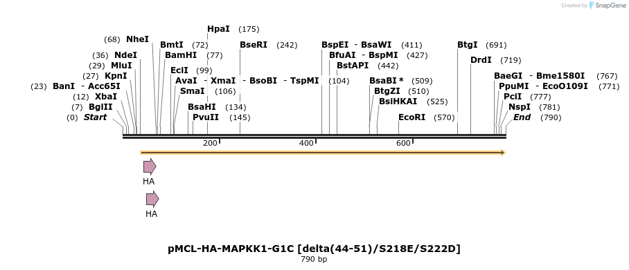 54551_map