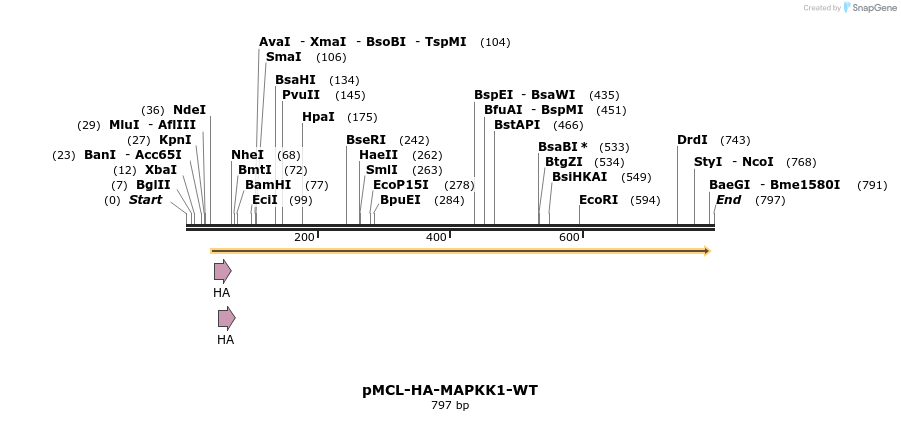 54552_map