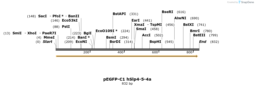 54553_map