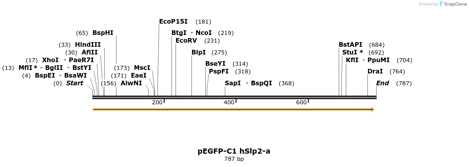 54554_map
