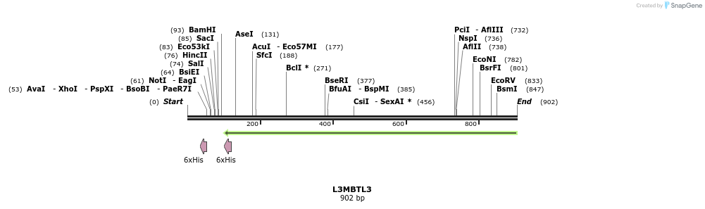 54555_map
