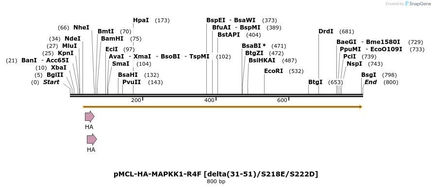 54558_map