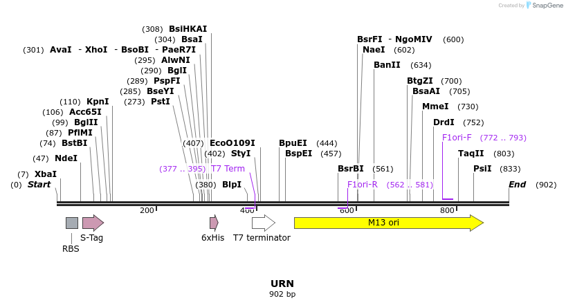 54559_map