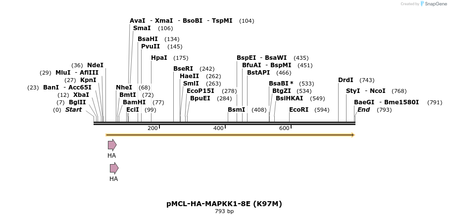 54560_map