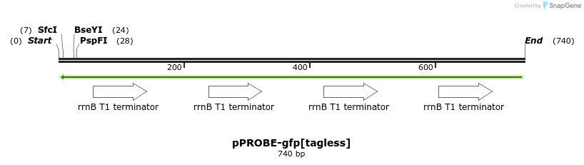 54561_map