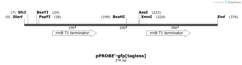 54562_map