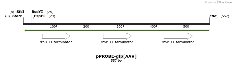 54565_map