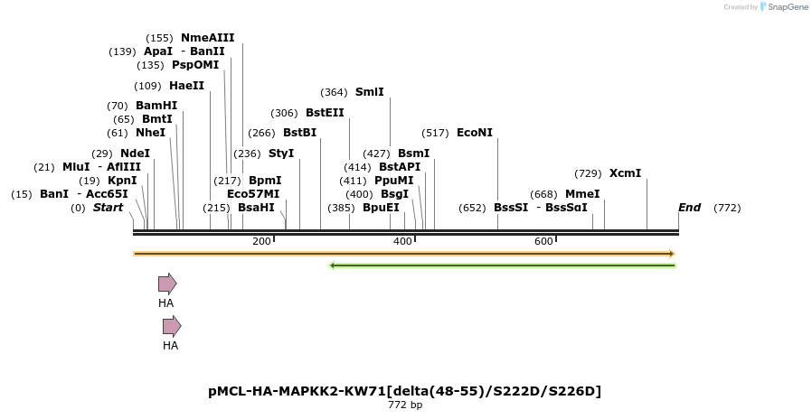 54566_map