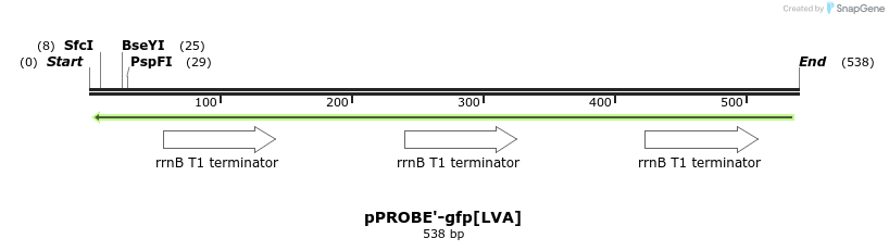 54568_map