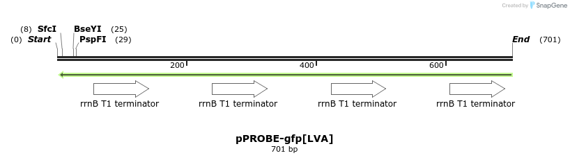 54570_map