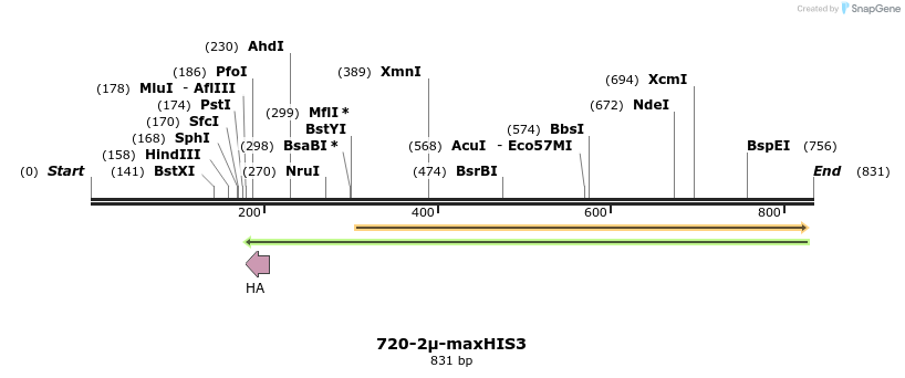 54572_map