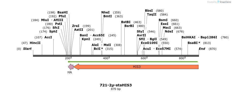 54573_map