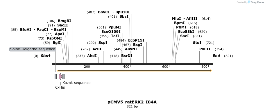 54574_map