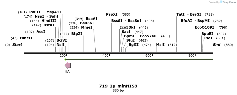 54575_map