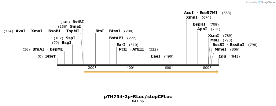 54579_map