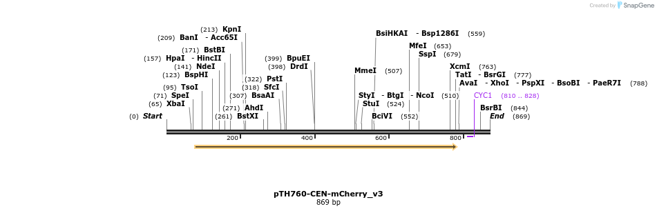 54580_map
