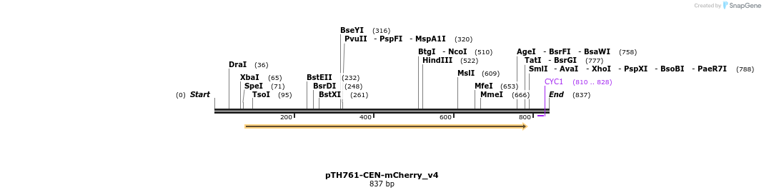 54582_map