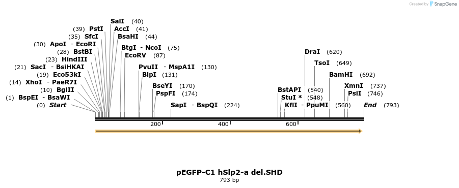 54589_map