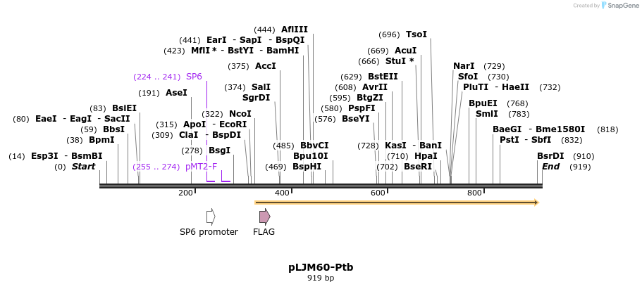 54591_map