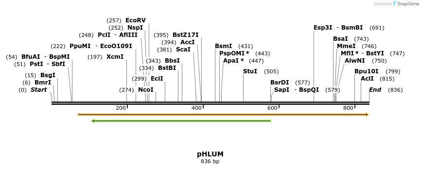 54601_map