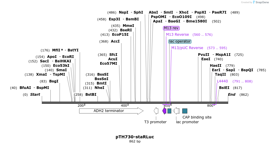 54603_map