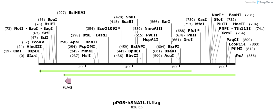 54604_map