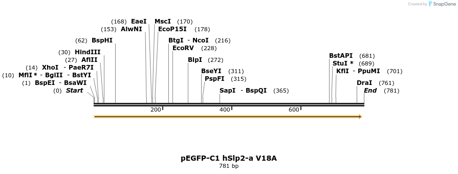 54608_map