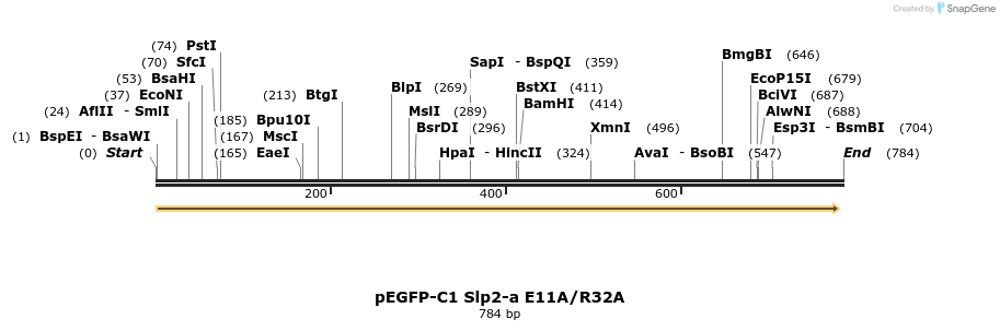 54613_map