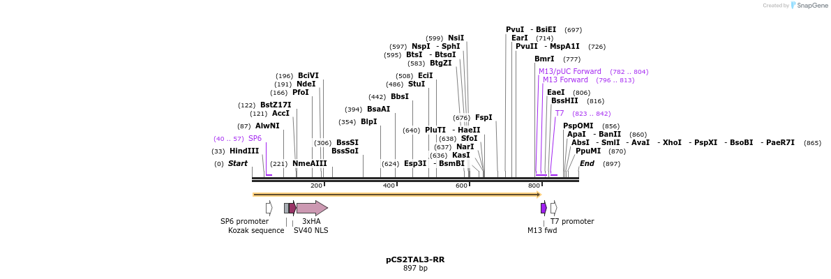 54614_map