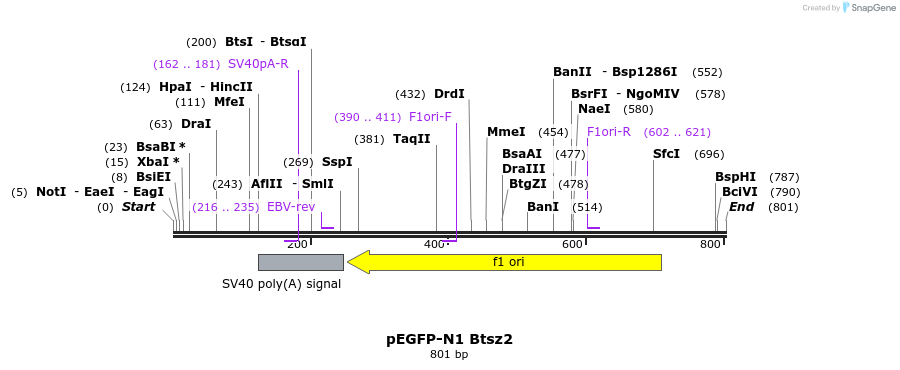 54618_map