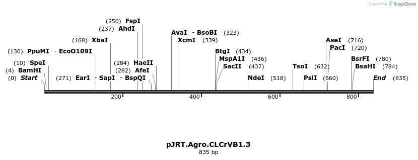 54620_map