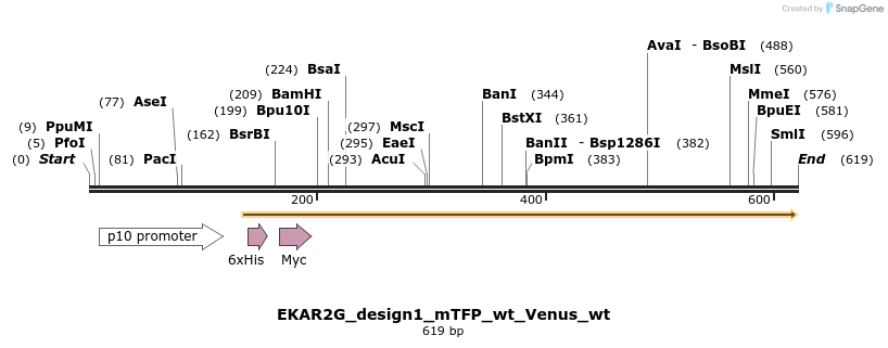 54621_map