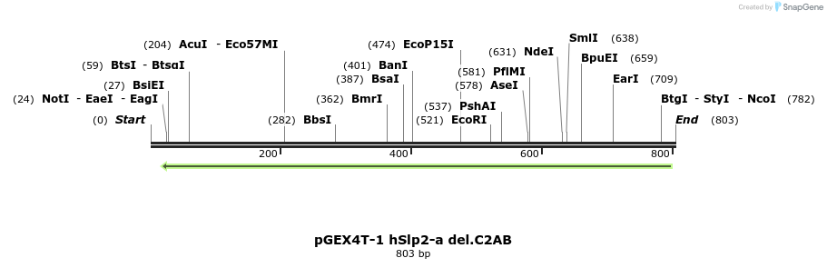 54622_map
