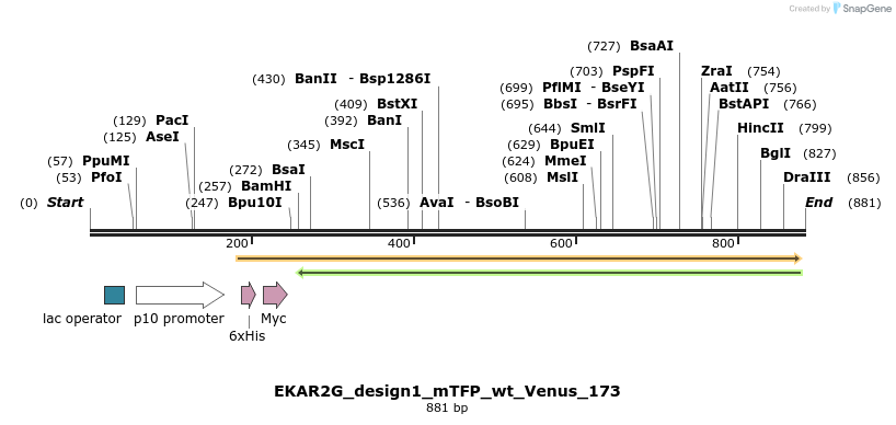 54623_map