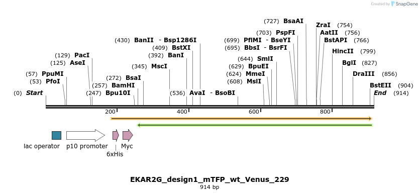 54626_map