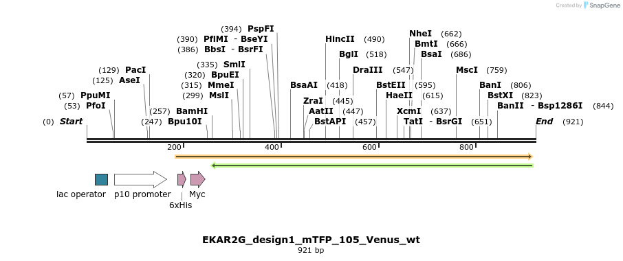 54627_map
