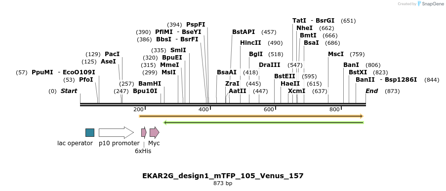 54628_map