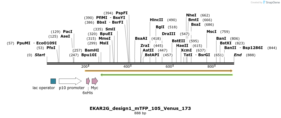 54629_map