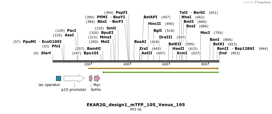 54630_map